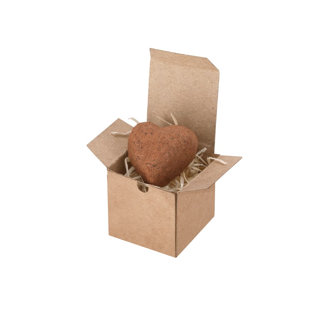Fobin